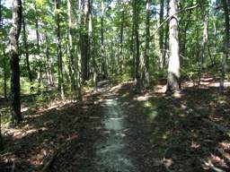 Raccoon Mountain Trail