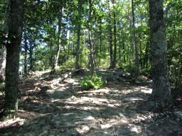 Raccoon Mountain Trail