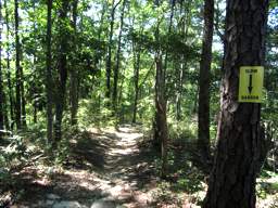 Raccoon Mountain Trail