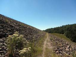 Raccoon Mountain Trail