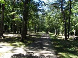 Raccoon Mountain Trail
