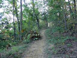 Raccoon Mountain Trail