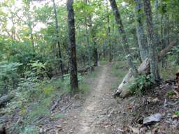 Raccoon Mountain Trail