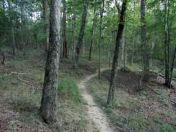 Raccoon Mountain Trail
