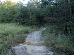 Raccoon Mountain Trail