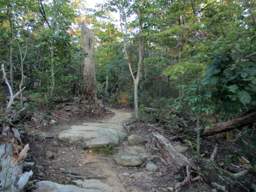 Raccoon Mountain Trail