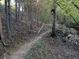 Raccoon Mountain Trail