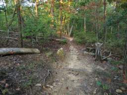 Raccoon Mountain Trail