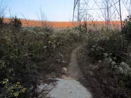 Raccoon Mountain Trail