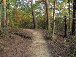 Raccoon Mountain Trail