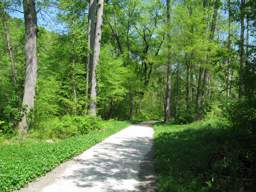 South Chickamauga Creek Greenway - Sterchi Farm