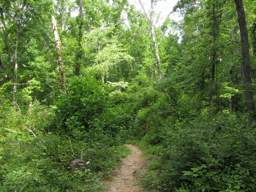 Booker T Washington State Park