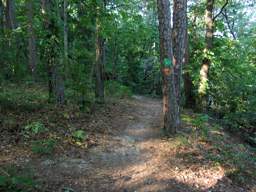 Booker T Washington State Park