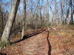 Booker T Washington State Park