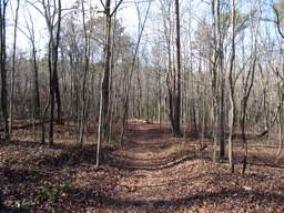 Booker T Washington State Park