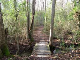 Booker T Washington State Park