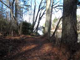 Booker T Washington State Park