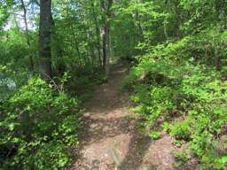 Booker T Washington State Park