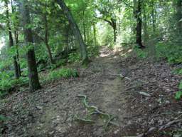 Booker T Washington State Park