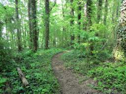 Booker T Washington State Park