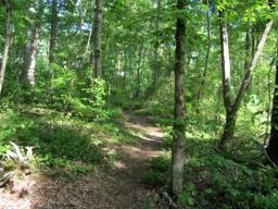 Booker T Washington State Park