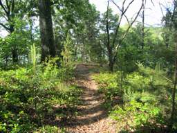Booker T Washington State Park