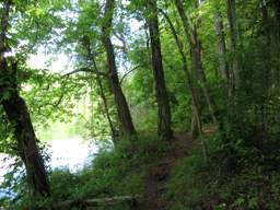 Booker T Washington State Park