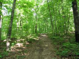Booker T Washington State Park