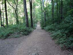 Cumberland Trail - North Chickamauga Creek