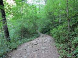 Cumberland Trail - North Chickamauga Creek