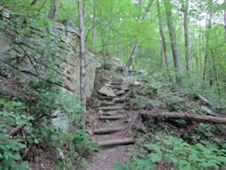Cumberland Trail - North Chickamauga Creek