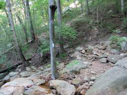 Cumberland Trail - North Chickamauga Creek