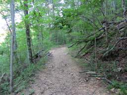 Cumberland Trail - North Chickamauga Creek