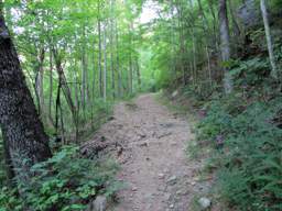 Cumberland Trail - North Chickamauga Creek