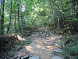 Cumberland Trail - North Chickamauga Creek