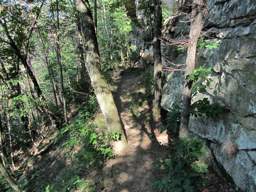 Cumberland Trail - North Chickamauga Creek