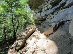 Cumberland Trail - North Chickamauga Creek