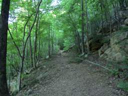Cumberland Trail - North Chickamauga Creek