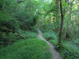 Cumberland Trail - North Chickamauga Creek