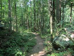 Cumberland Trail - North Chickamauga Creek