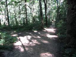 Cumberland Trail - North Chickamauga Creek