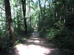 Cumberland Trail - North Chickamauga Creek