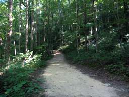 Cumberland Trail - North Chickamauga Creek