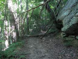 Cumberland Trail - North Chickamauga Creek