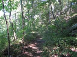 Cumberland Trail - North Chickamauga Creek