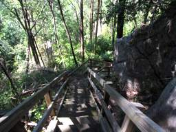 Cumberland Trail - North Chickamauga Creek