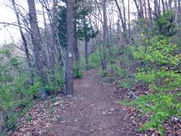 Stringer's Ridge Park