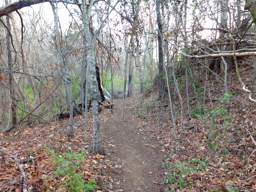 Stringer's Ridge Park