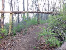 Stringer's Ridge Park