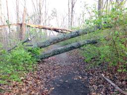 Stringer's Ridge Park